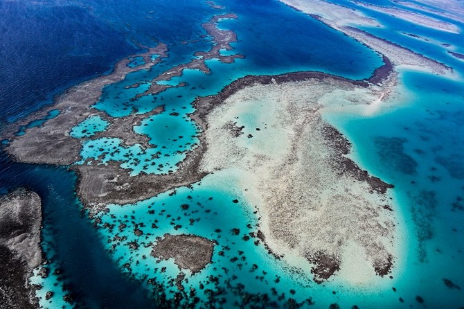 Saudi authorities sign major marine protection pact