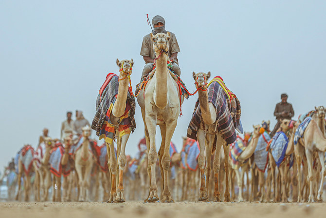 Inaugural AlUla Camel Cup brings to light Saudi Arabia’s desert heritage