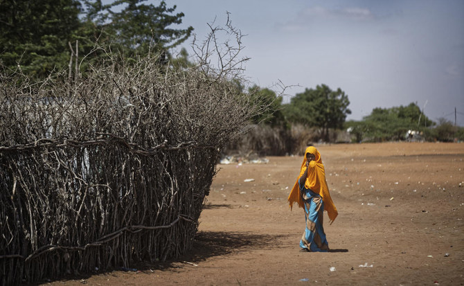 Humanitarian group MSF calls for support for refugees in Kenya affected by cholera crisis