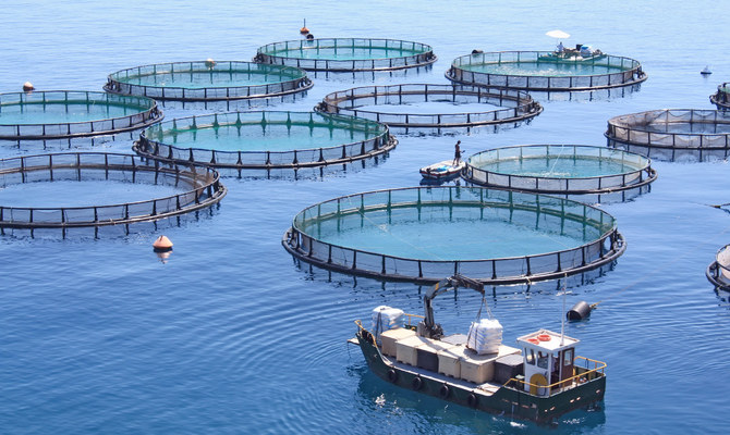 Arab Organization for Agricultural Development seeks Egypt support for Lebanese fish farms