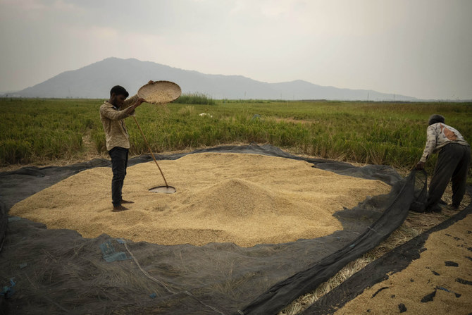 Rice crops are being threatened by El Nino after grain supplies were disrupted by the war in Ukraine