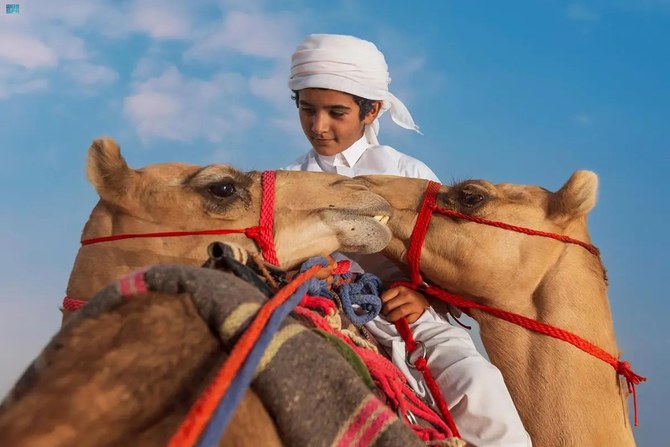 Crown Prince Camel Festival seeks more record-breaking achievements