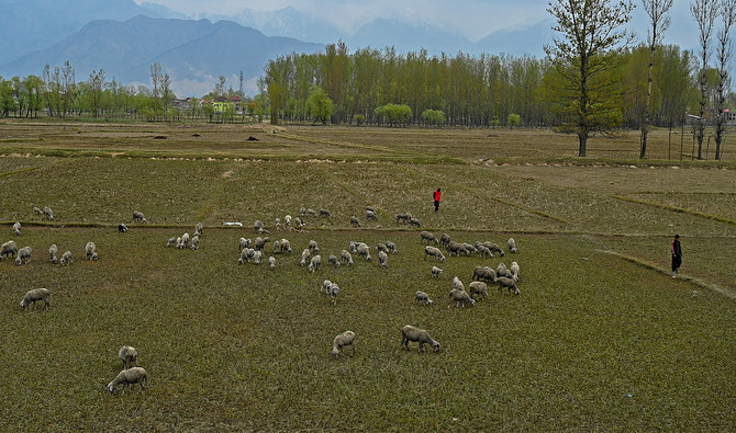 Top rice supplier India bans some exports