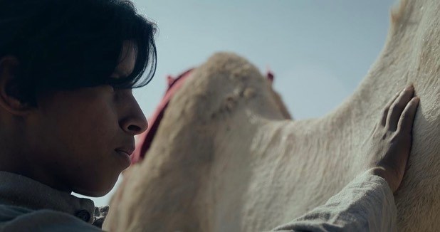 Saudi film ‘Hajjan’ to premiere at Toronto International Film Festival