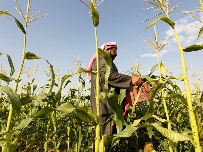 Deal signed to boost efficiency of Saudi farmers, ensure food security