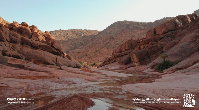 Saudi Ministry of Industry and King Salman Royal Reserve ink mining license agreement 