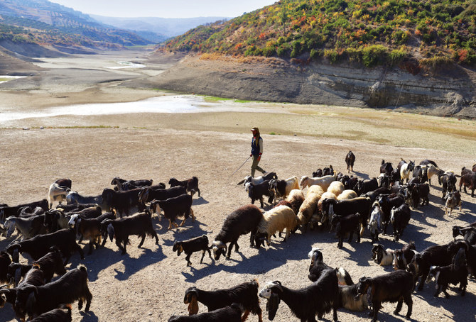 How water scarcity is disrupting agriculture, worsening food insecurity in the Middle East