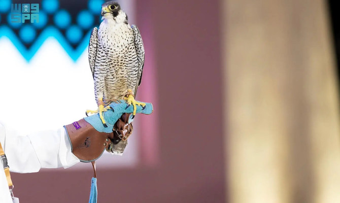 Saudi Falcon Club auction sales soar to $440k 