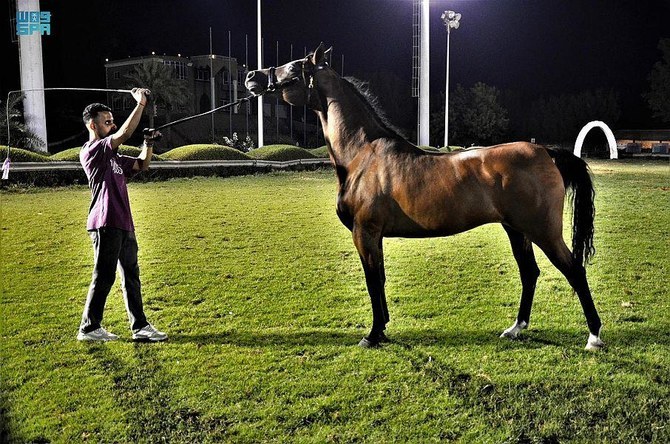 Thrills at Makkah Arabian Horse Show