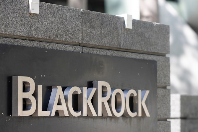 BlackRock to invest up to $400m in Dubai decarbonization firm Positive Zero