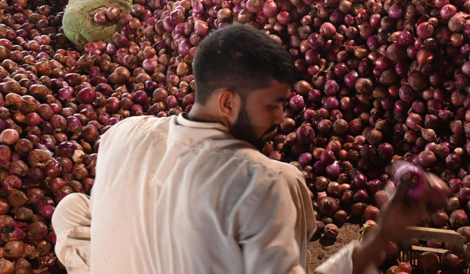  No onion shortage in Saudi Arabia, says FSC