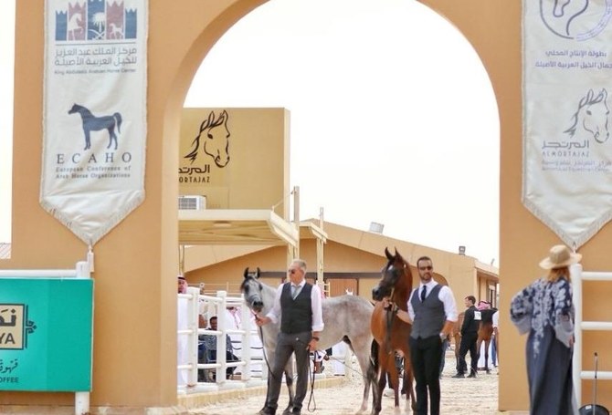 200 horses entered to compete at Almortajaz Arabian Horse Show