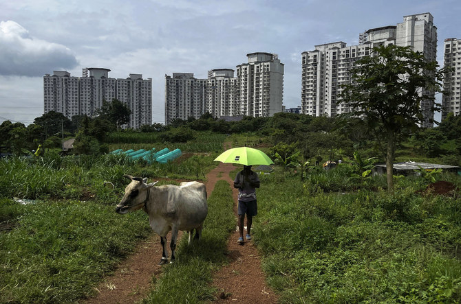 India has millions of dairy farmers. It’s creating a methane problem that’s tricky to solve