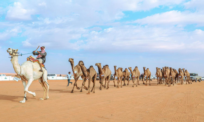 Saudi Arabia takes part in 3rd annual international Camel Parade in Paris