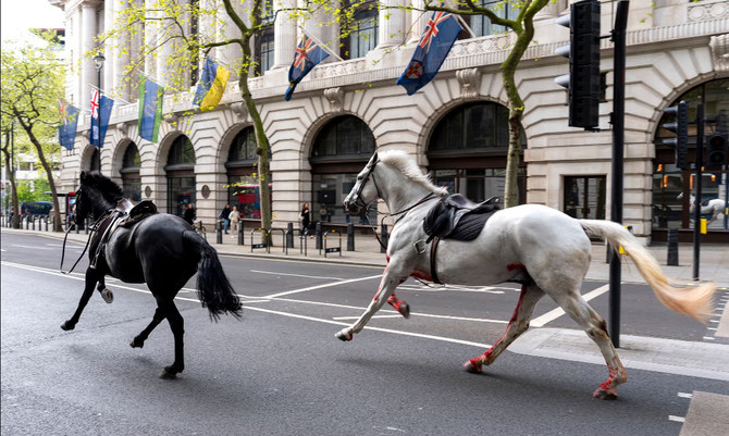 Four injured as escaped army horses bolt through central London