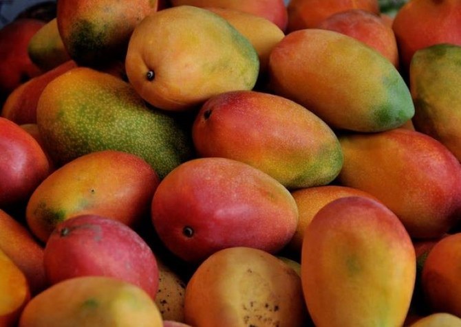 Al-Qunfudah celebrates mango festival as production grows