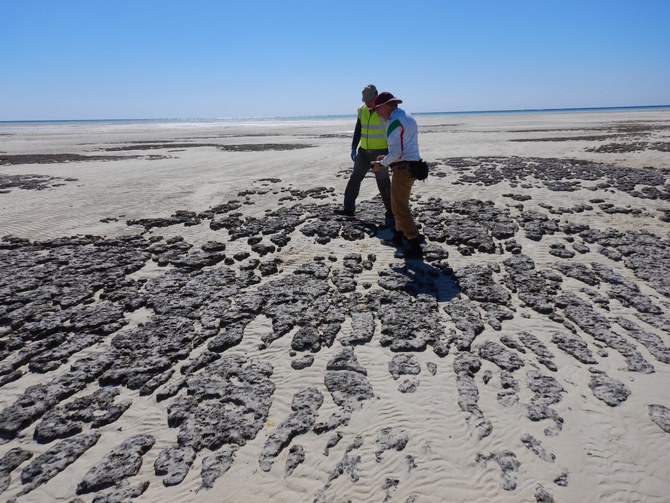 ‘Living rocks’ off Saudi Arabia’s Sheybarah Island offer glimpse of how life on Earth began