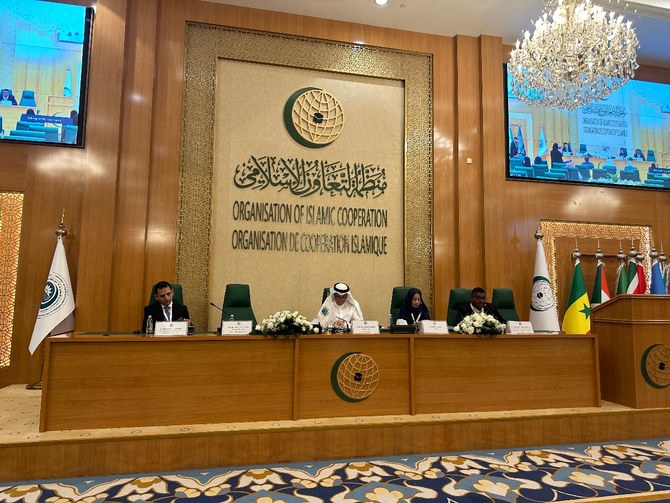 ‘Many challenges’ in combating Islamophobia, protecting human rights: top OIC official