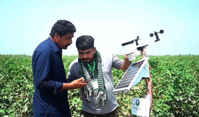 Farmers in Pakistan’s Sindh province click with digital tools to boost crops