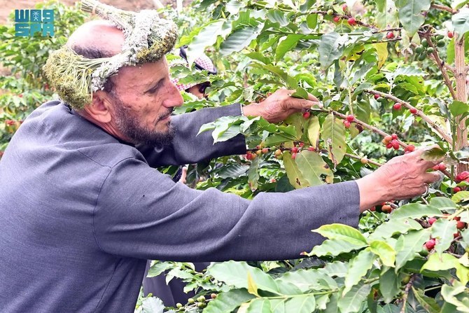 Workshop targets sustainable coffee production in Jazan