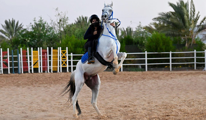 Women in Tabuk eager to take the reins