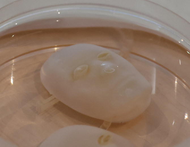 Say cheese: Japanese scientists make robot face ‘smile’ with living skin