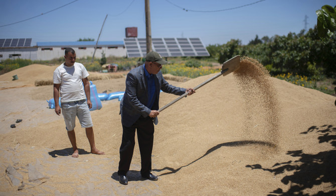 Climate change imperils drought-stricken Morocco’s cereal farmers and its food supply