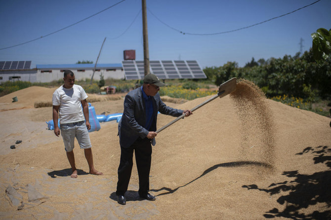 Climate change imperils drought-stricken Morocco’s cereal farmers and its food supply
