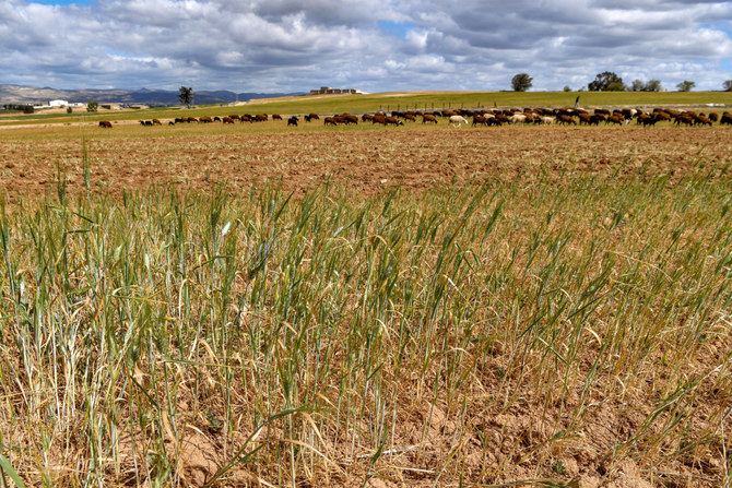 How climate change is exacerbating food insecurity, with dangerous consequences for import-reliant Middle East