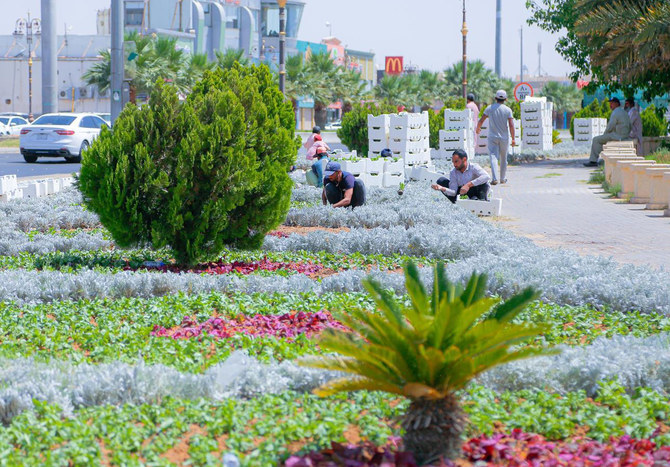 Tabuk is undergoing something of a facelift, thanks to the city municipality’s efforts to enhance the urban landscape.