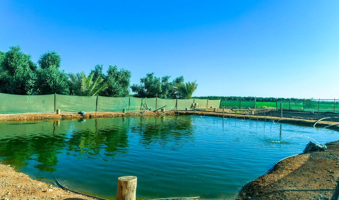 Fish farming’s vital food security role in Saudi Arabia highlighted