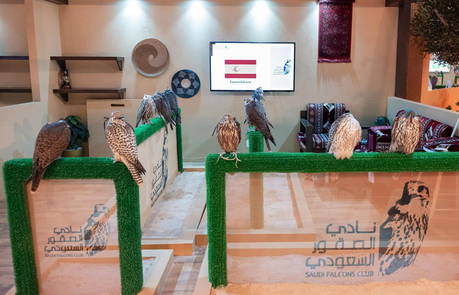 Top Spanish falcon farm joins Riyadh auction