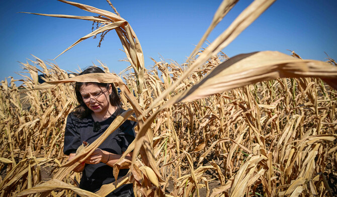 Iulia Blagu, 39, a local farmer poses in a dry-out corn field of her farm nearby Urziceni, July 29, 2024. (AFP)