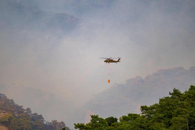 Forest fires in Turkiye under control: minister