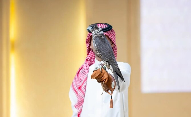 Successful auction for Yas Falcons