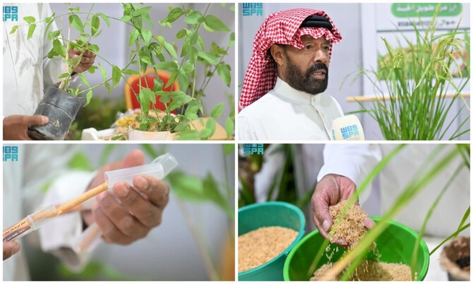 Tayma farmers shine at agriculture festival