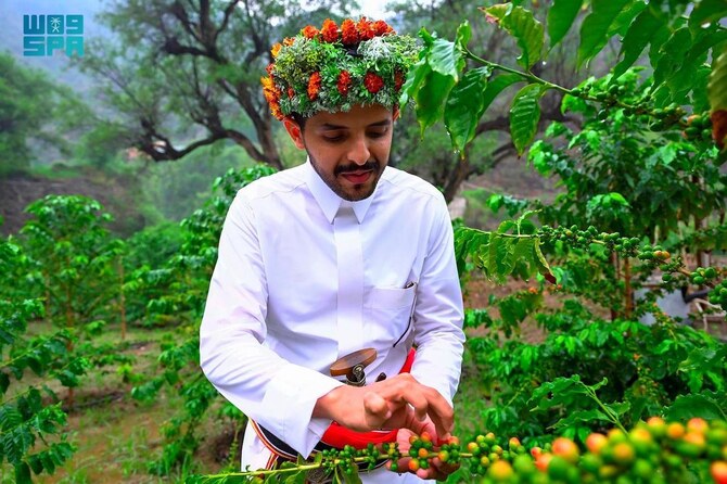 Saudi Coffee Company Academy recently conducted a training program on “best agricultural practices” in Asir.