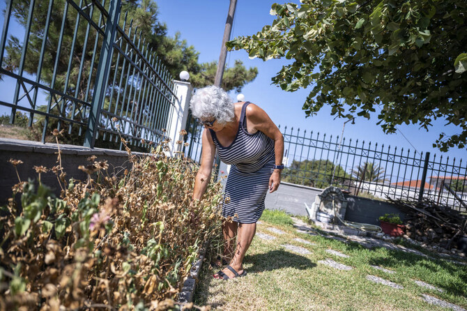 Drying lakes and thirsty trees: In drought-hit Greece, water trucks are keeping crops alive