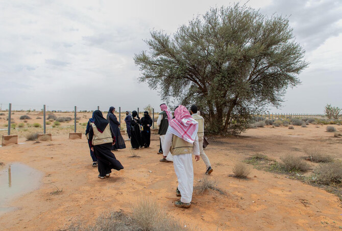 Saudi reserves ban hunting to protect wildlife