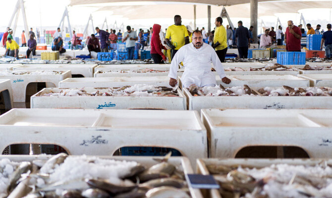 Reeling it in: Inside Saudi Arabia’s biggest fish market