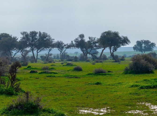 Spanning 91,500 sq. km, the Imam Turki bin Abdullah Royal Reserve is the second-largest royal reserve.