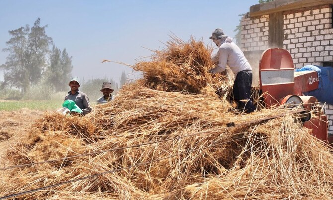 Egypt looks to secure bank financing to strengthen food security