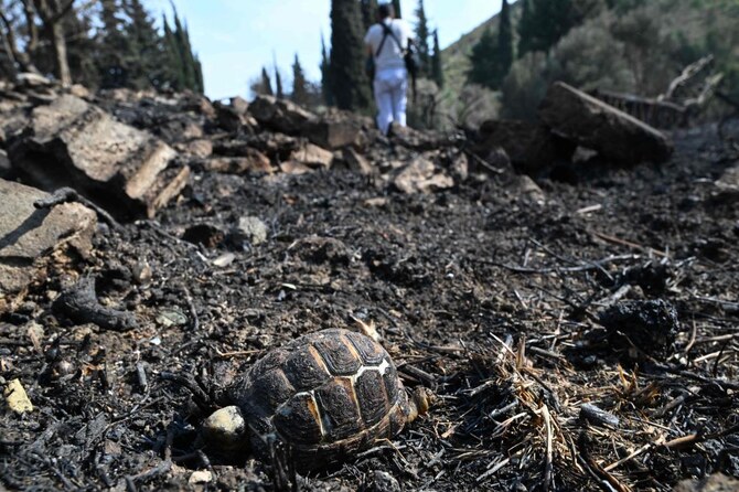 War monitor says Israeli strike in Syria’s Golan kills two