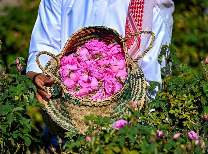 Saudi Arabia localizes rose cultivation to boost agriculture