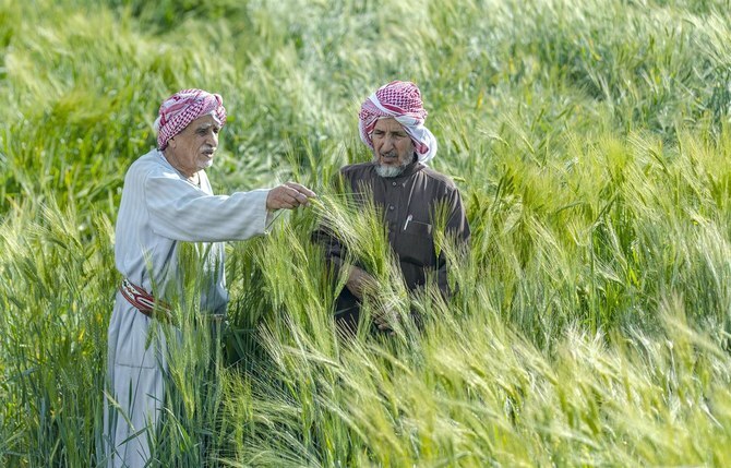 Saudi agricultural fund boosts food sector with $533m in loans, credit facilities