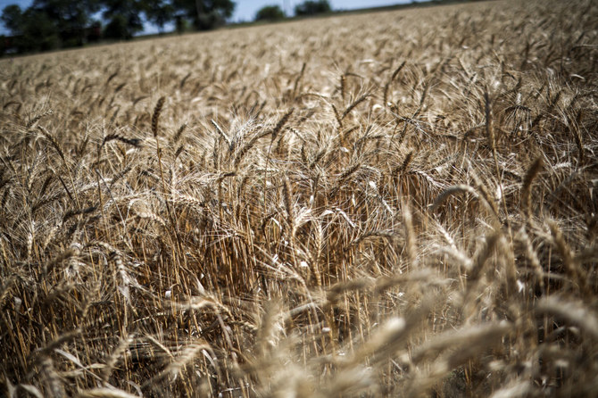Russia softens its attitude on Ukrainian grain corridor