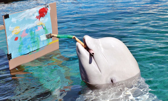 Beluga whales create art in Japan aquarium