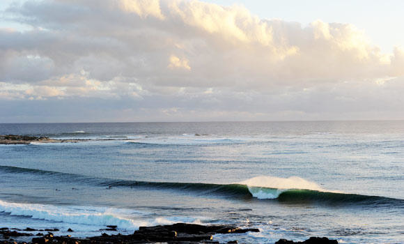 Shark kills surfer in Australia