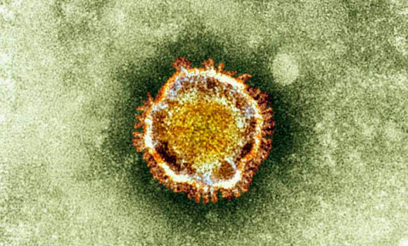 Patient released after coronavirus treatment