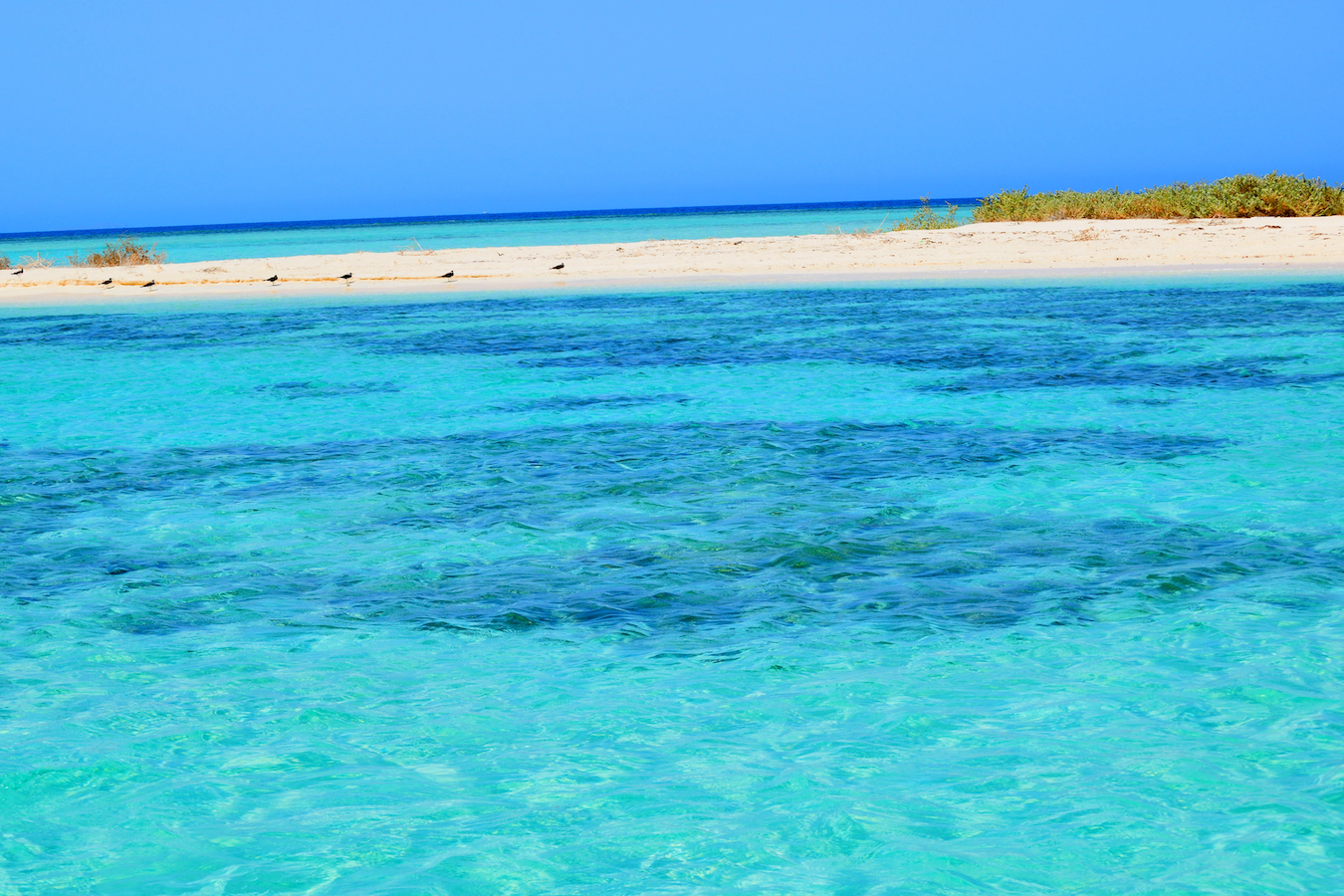 6 Must Visit Beaches In Saudi Arabia Arab News